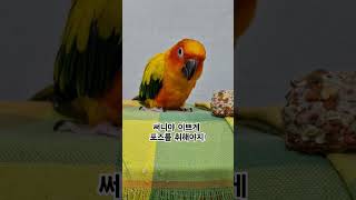 써니를 이쁘게 사진 찍고 싶어!  #썬코뉴어 #parr…