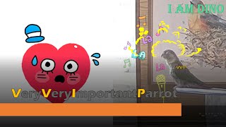 [닥터멜론] 코뉴어 노래 클래식 따라부르기 (잘하고싶은…