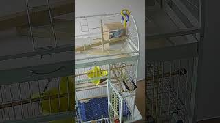 퀘이커 딸기 #사랑해요#