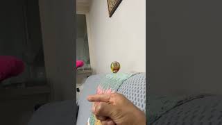 소망이의 일상(코뉴어)