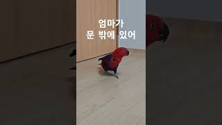 엄마 어디가?