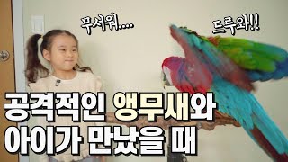 7살 아이가 화난 앵무새를 만났을 때 - 홍금강 말하는 앵무새