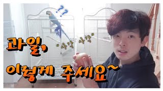 [#앵집사] 모든 동물에게  과일이나 채소 주는방법