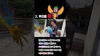 청금강 수컷은 위험해...⚠️