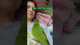 Hahn’s Macaw Wants Us To Sing To Her #parrot_bliss #shorts #parrot