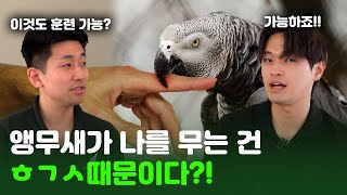 앵무새 입질에 어떻게 고칠 수 있을까요? ㅠㅠ너무 아파요