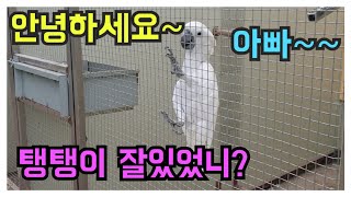 오랜만에 탱탱이 부부 보러 다녀왔습니다.