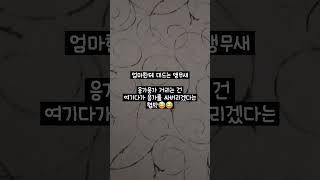 엄마한테 대드는 앵무새 #앵춘기 #한스마카우 #앵무새 …