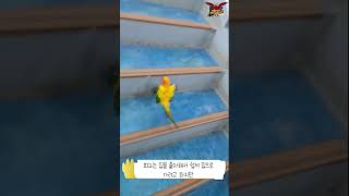 썬코뉴어 피뇨를 소개합니다~!