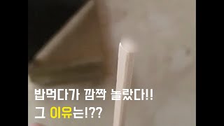 이런 크기는 처음봤습니다! 점심먹다 까~~~~암짝 놀라…