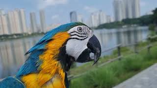 청금강을 지치게해보자!!