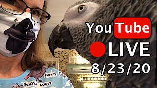 Einstein Parrot LIVE! 8/23/20