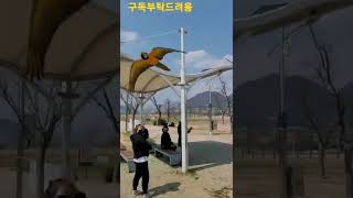 집사를 찾아가는 청금강앵무새 #shorts