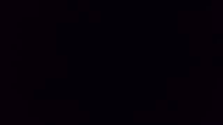 뉴기니아 앵무 - 잔디 2