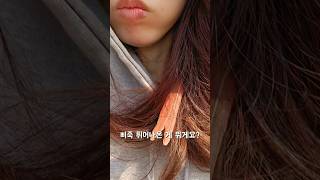 삐죽 튀어나온건 바로..! #앵무새 #코뉴어 #반려동물