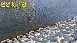 홍금강앵무새 첫비행에 생긴일