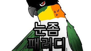 눈좀 패러디 (코뉴어/카이큐/모란앵무/앵무새)