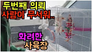 [#앵집사] 앵집사 두번째 의뢰 (사람을 무서워 하는 …