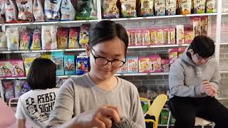 [앵무파파] 회색앵무새와 친해지기 [2018.04.28…