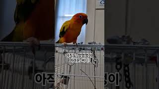 언제쯤 써니가 멍멍멍을 이해 할수 있을까요?  #썬코뉴…