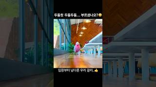 입장부터 남다른 갈맄ㅋㅋ 귀여워 #알파카월드 #앵무새 …