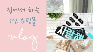 집에서 하는 1인 쇼핑몰 vlog 1 (feat.앵무새…