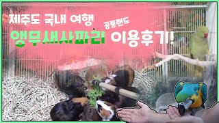 국내여행ㅣ제주도여행ㅣ공룡랜드ㅣ앵무새사파리 - 제주도여행…