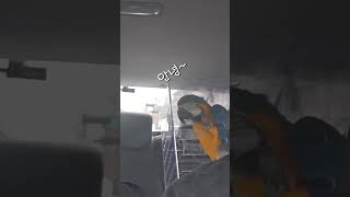 누가 청금강 말 못한데...ㅡㅡ