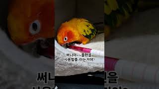 써니는 볼펜에 관심이 많아요!  #썬코뉴어 #parro…