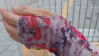 말 알아듣는 왕관앵무새     (더보기에 설명이 있어요…