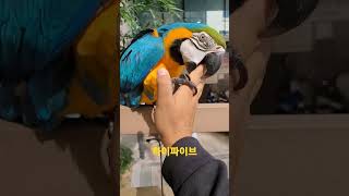 손이 너무 멀잖아ㅡㅡ #shorts #청금강