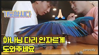 기도 합시다.. 앵무새 밍고 발목 컷.. 아니.. 발목…