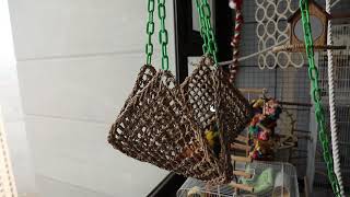 썬코뉴어_그녀가 노는 방법