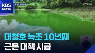 대청호 ‘녹조’ 10년째…근본 대책 시급 / KBS  2025.08.16.