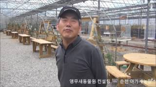 앵무새동물원 컨설팅 - 춘천 아가새농장