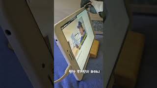 미디어 중독 청금강 앵무새