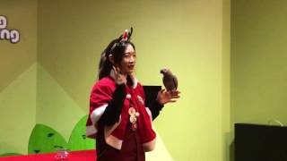 [주렁주렁] 예언가 회색앵무 룰루, 신년운세보다!