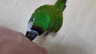 퇴근하고 방문을 열었는데...