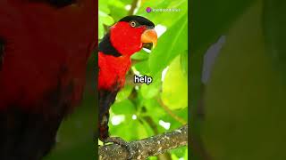 Discover the Vibrant World of …