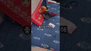 좋아서 방언터진 아기새 I just want to sa…