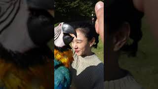 애기청금강 휘슬 각인중 두번째 비행연습