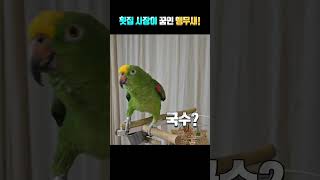 내꿈은 횟집 사장!!!!