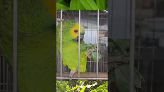 제 먹방 한번 보실래요?~