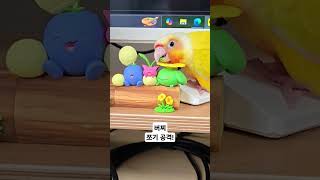 새포켓몬 트레이너가 되었습니다 #pokemon #코뉴어…