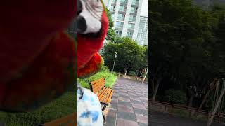 아마존보다 덥니?