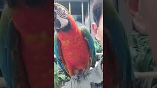 퀸의  놀래키기!