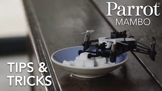 Parrot Minidrones - MAMBO - Tu…