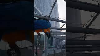 귀여운 루카 #parrot #앵무새 #macaw #청금강 #청금강앵무새 #animal #동물 #마카우