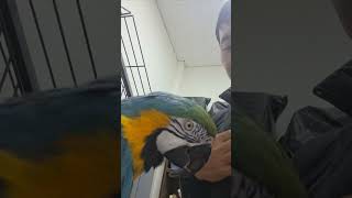 제점수는요..탈락입니다ㅜㅜ                      #청금강마리오  #성우 #바다의왕자블로그