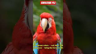 The Weird Story Behind Macaws …
